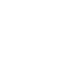 Intempo Icon